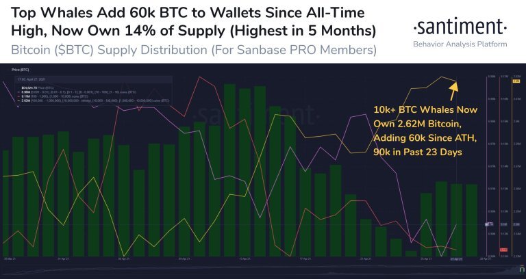 Market Research Report: Bitcoin Eyes Out $60,000 Again While ETH Clears $3,000 — New Crypto Legislation Helping? - BTC top whales